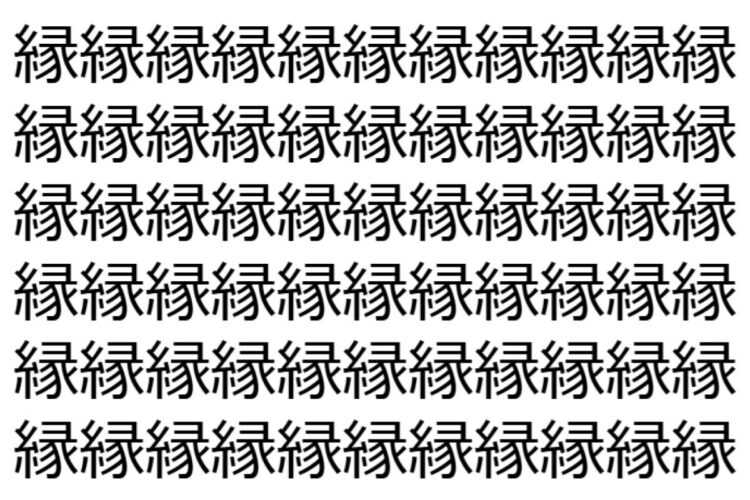 【脳トレ】「縁」の中に紛れて1つ違う文字がある！？あなたは何秒で探し出せるかな？？【違う文字を探せ！】