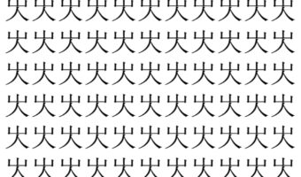 【脳トレ】「㞤」の中に紛れて1つ違う文字がある!?あなたは何秒で探し出せるかな??【違う文字を探せ!】