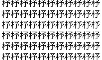 【脳トレ】「杼」の中に紛れて1つ違う文字がある!?あなたは何秒で探し出せるかな??【違う文字を探せ!】