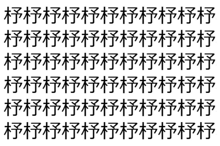 【脳トレ】「杼」の中に紛れて1つ違う文字がある！？あなたは何秒で探し出せるかな？？【違う文字を探せ！】