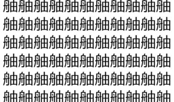 【脳トレ】「舳」の中に紛れて1つ違う文字がある!?あなたは何秒で探し出せるかな??【違う文字を探せ!】
