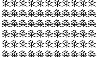 【脳トレ】「粂」の中に紛れて1つ違う文字がある！？あなたは何秒で探し出せるかな？？【違う文字を探せ！】