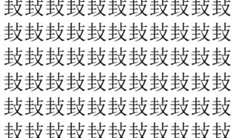 【脳トレ】「㪈」の中に紛れて1つ違う文字がある!?あなたは何秒で探し出せるかな??【違う文字を探せ!】