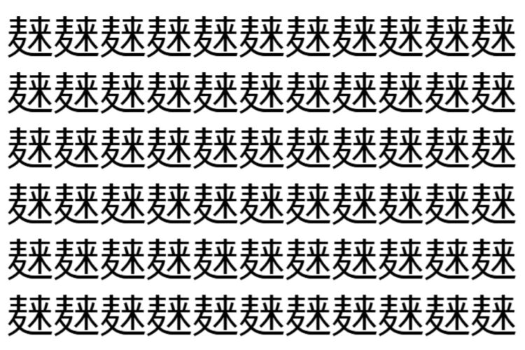 【脳トレ】「𪎌」の中に紛れて1つ違う文字がある！？あなたは何秒で探し出せるかな？？【違う文字を探せ！】