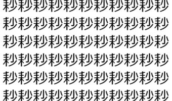 【脳トレ】「耖」の中に紛れて1つ違う文字がある!?あなたは何秒で探し出せるかな??【違う文字を探せ!】