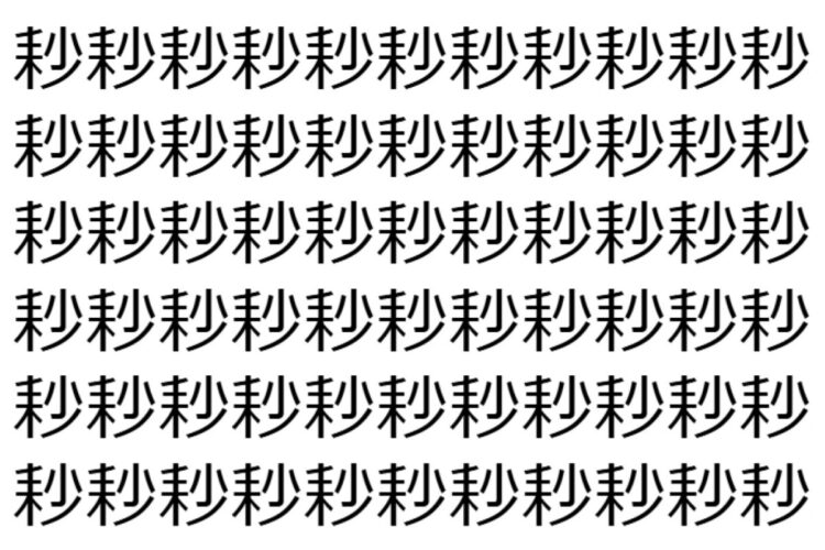 【脳トレ】「耖」の中に紛れて1つ違う文字がある！？あなたは何秒で探し出せるかな？？【違う文字を探せ！】
