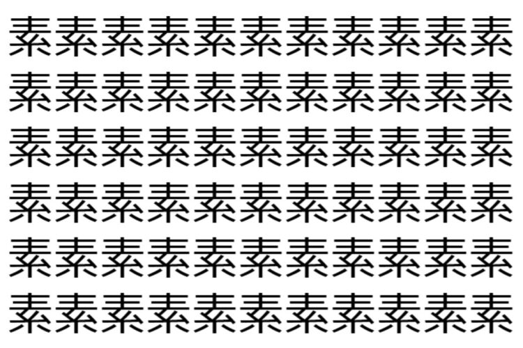 【脳トレ】「素」の中に紛れて1つ違う文字がある！？あなたは何秒で探し出せるかな？？【違う文字を探せ！】