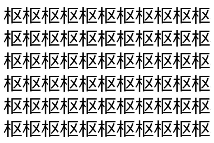 【脳トレ】「枢」の中に紛れて1つ違う文字がある！？あなたは何秒で探し出せるかな？？【違う文字を探せ！】