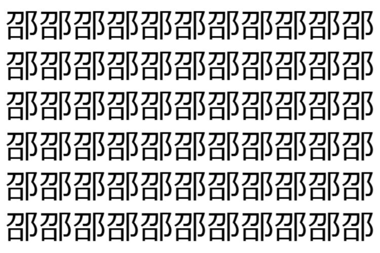 【脳トレ】「邵」の中に紛れて1つ違う文字がある！？あなたは何秒で探し出せるかな？？【違う文字を探せ！】