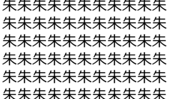 【脳トレ】「朱」の中に紛れて1つ違う文字がある！？あなたは何秒で探し出せるかな？？【違う文字を探せ！】
