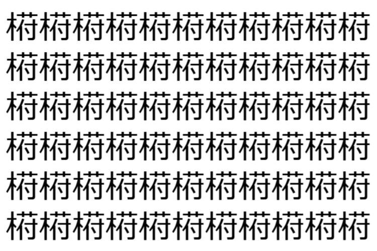 【脳トレ】「﨓」の中に紛れて1つ違う文字がある！？あなたは何秒で探し出せるかな？？【違う文字を探せ！】