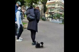 みんなを笑顔にする子犬。道端で出会った人々にも人懐っこいその姿がかわいすぎる！！【海外・動画】