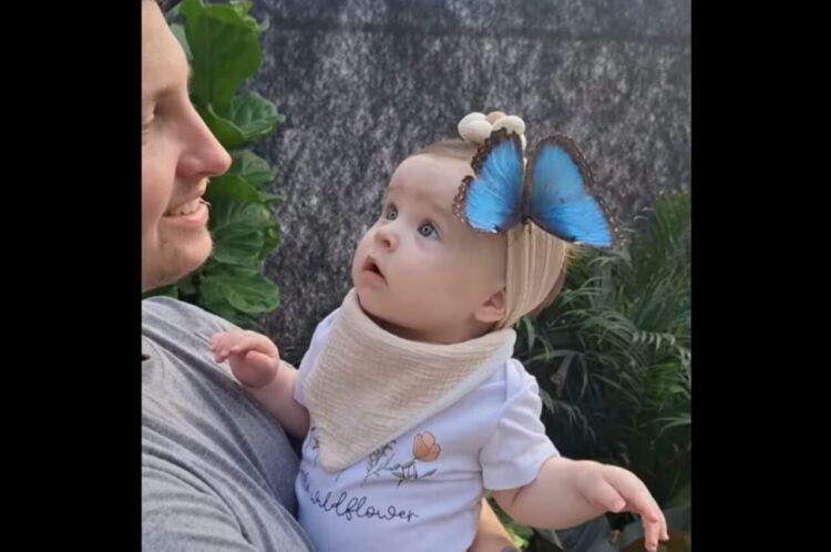 綺麗なヘアアクセサリー？赤ちゃんの頭に華麗なチョウが！【海外・動画】