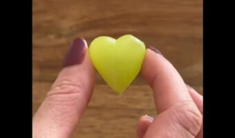 マネしたくなる!ブドウがかわいく映えるひと工夫が話題に【海外・動画】