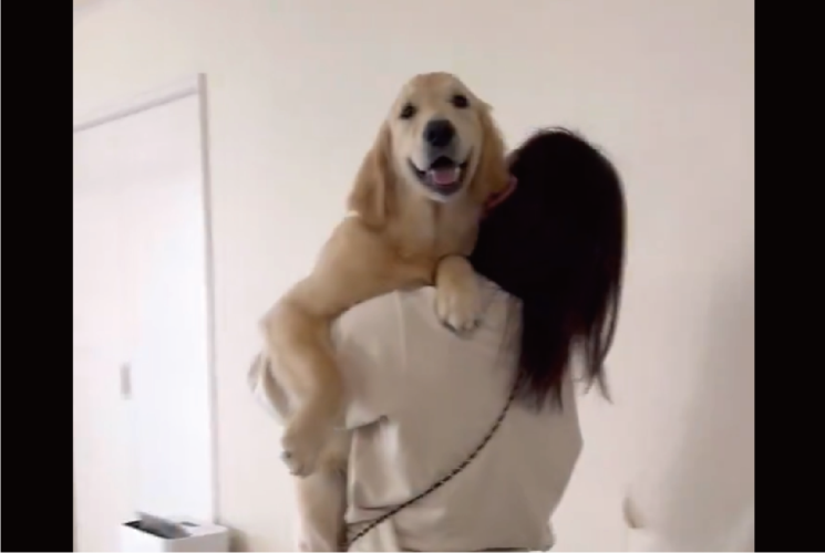 大きくなってもだっこしてもらうの大好き！甘えるゴールデンレトリバーに反響「ママ大好きワン」「周りの子も抱っこしてほしそう」