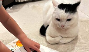 ネコが子供の読み聞かせを真剣に聞いている!?「腕組んでるのがかわいい」「ふむふむにゃるほどにゃ」