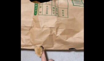 米袋を使ったネコとの遊びが話題に「逆モグラたたきみたい」「うちの子も喜びそう!早速やってみます」