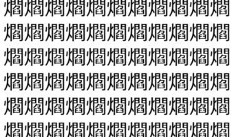 【脳トレ】「爓」の中に紛れて1つ違う文字がある!?あなたは何秒で探し出せるかな??【違う文字を探せ!】