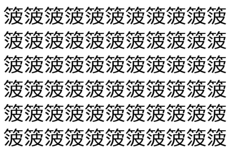 【脳トレ】「箥」の中に紛れて1つ違う文字がある！？あなたは何秒で探し出せるかな？？【違う文字を探せ！】