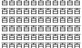 【脳トレ】「百」の中に紛れて1つ違う文字がある!?あなたは何秒で探し出せるかな??【違う文字を探せ!】