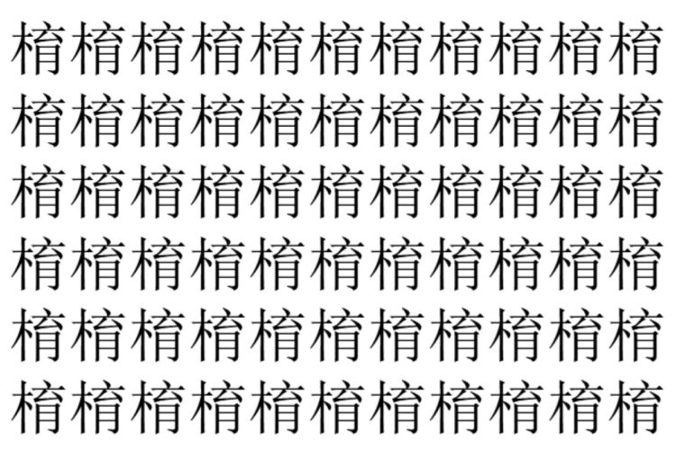 【脳トレ】「棛」の中に紛れて1つ違う文字がある！？あなたは何秒で探し出せるかな？？【違う文字を探せ！】