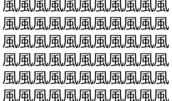 【脳トレ】「風」の中に紛れて1つ違う文字がある!?あなたは何秒で探し出せるかな??【違う文字を探せ!】