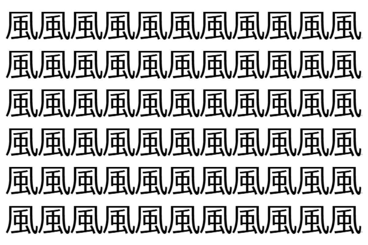 【脳トレ】「風」の中に紛れて1つ違う文字がある!?あなたは何秒で探し出せるかな??【違う文字を探せ!】