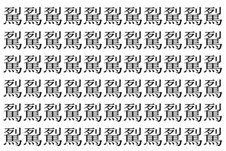 【脳トレ】「𩢾」の中に紛れて1つ違う文字がある！？あなたは何秒で探し出せるかな？？【違う文字を探せ！】