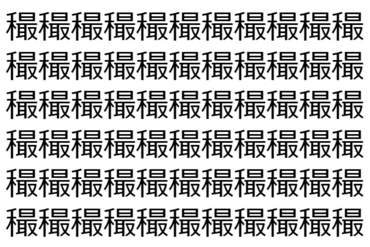 【脳トレ】「穝」の中に紛れて1つ違う文字がある！？あなたは何秒で探し出せるかな？？【違う文字を探せ！】