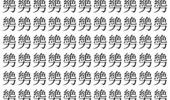 【脳トレ】「㔢」の中に紛れて1つ違う文字がある!?あなたは何秒で探し出せるかな??【違う文字を探せ!】