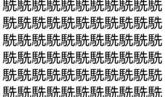【脳トレ】「駪」の中に紛れて1つ違う文字がある!?あなたは何秒で探し出せるかな??【違う文字を探せ!】