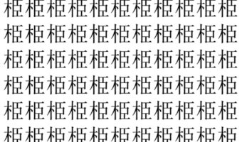 【脳トレ】「栕」の中に紛れて1つ違う文字がある!?あなたは何秒で探し出せるかな??【違う文字を探せ!】