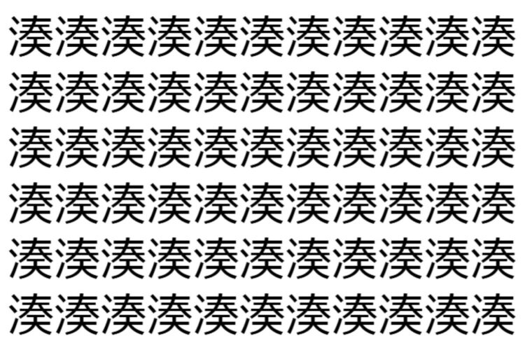【脳トレ】「湊」の中に紛れて1つ違う文字がある！？あなたは何秒で探し出せるかな？？【違う文字を探せ！】