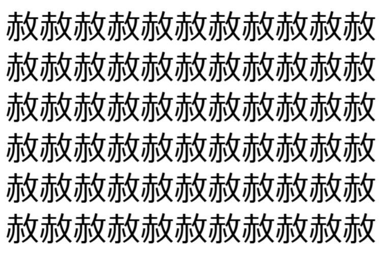 【脳トレ】「赦」の中に紛れて1つ違う文字がある！？あなたは何秒で探し出せるかな？？【違う文字を探せ！】