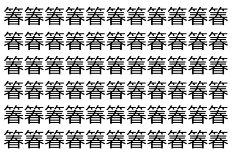 【脳トレ】「箺」の中に紛れて1つ違う文字がある！？あなたは何秒で探し出せるかな？？【違う文字を探せ！】