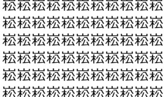 【脳トレ】「崧」の中に紛れて1つ違う文字がある！？あなたは何秒で探し出せるかな？？【違う文字を探せ！】