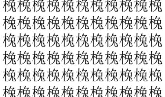 【脳トレ】「㭸」の中に紛れて1つ違う文字がある!?あなたは何秒で探し出せるかな??【違う文字を探せ!】