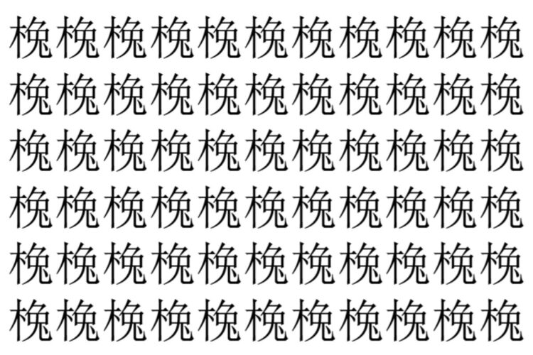 【脳トレ】「㭸」の中に紛れて1つ違う文字がある！？あなたは何秒で探し出せるかな？？【違う文字を探せ！】