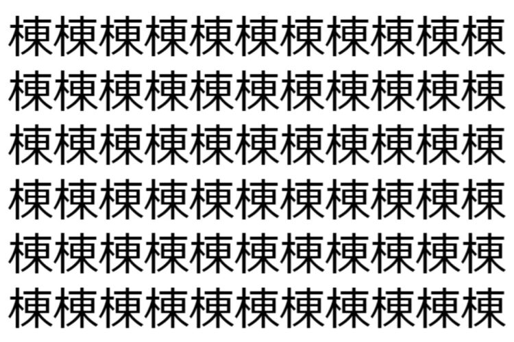 【脳トレ】「棟」の中に紛れて1つ違う文字がある！？あなたは何秒で探し出せるかな？？【違う文字を探せ！】