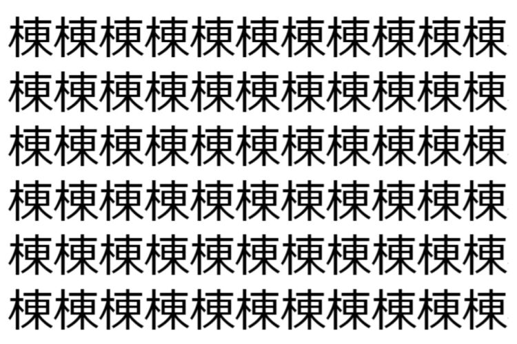 【脳トレ】「棟」の中に紛れて1つ違う文字がある！？あなたは何秒で探し出せるかな？？【違う文字を探せ！】