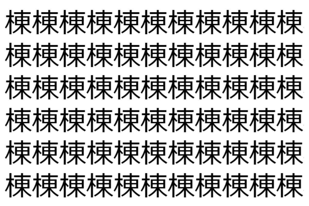 【脳トレ】「棟」の中に紛れて1つ違う文字がある!?あなたは何秒で探し出せるかな??【違う文字を探せ!】
