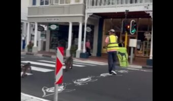 旗を振り歩行者のため交通整理をする誘導員。横断歩道を渡るのは・・、人間ではなくヒヒ!?【海外・動画】
