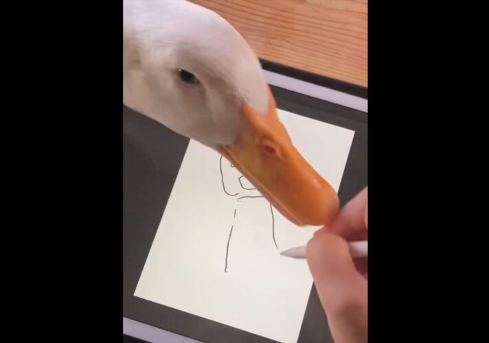 アヒルが絵を描くのを阻む？指を突く様子に「自分も絵を描きたいのかなぁ」「共同作業になってる」