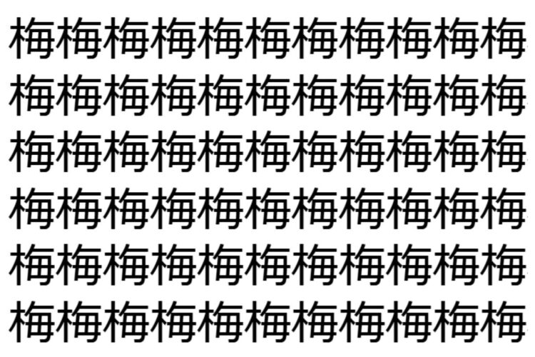 【脳トレ】「梅」の中に紛れて1つ違う文字がある！？あなたは何秒で探し出せるかな？？【違う文字を探せ！】