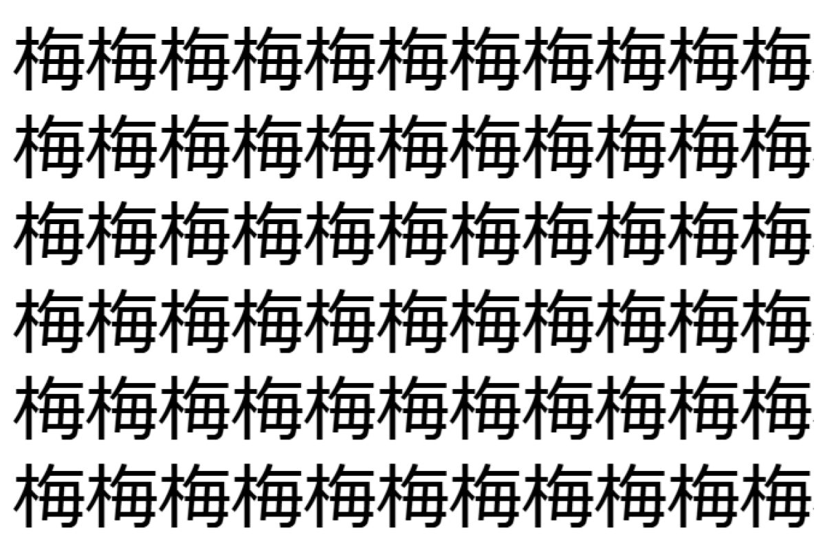 【脳トレ】「梅」の中に紛れて1つ違う文字がある!?あなたは何秒で探し出せるかな??【違う文字を探せ!】