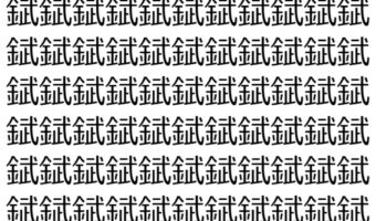 【脳トレ】「錻」の中に紛れて1つ違う文字がある！？あなたは何秒で探し出せるかな？？【違う文字を探せ！】