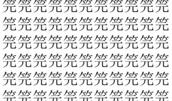 【脳トレ】「笎」の中に紛れて1つ違う文字がある!?あなたは何秒で探し出せるかな??【違う文字を探せ!】