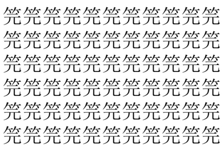 【脳トレ】「笎」の中に紛れて1つ違う文字がある！？あなたは何秒で探し出せるかな？？【違う文字を探せ！】