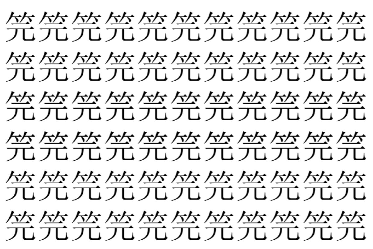 【脳トレ】「笎」の中に紛れて1つ違う文字がある!?あなたは何秒で探し出せるかな??【違う文字を探せ!】