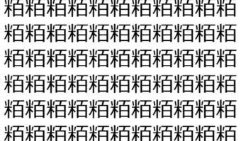 【脳トレ】「粨」の中に紛れて1つ違う文字がある!?あなたは何秒で探し出せるかな??【違う文字を探せ!】